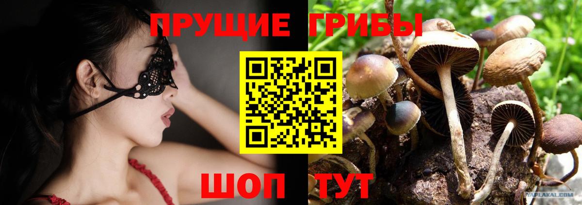 Ухта  дарнет шоп  Вход с VPN  Псилоцибиновые грибы Psilocybe 
